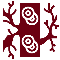 Valoración vascular experta