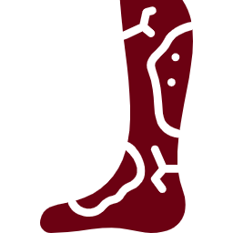 Cirugía endovascular avanzada