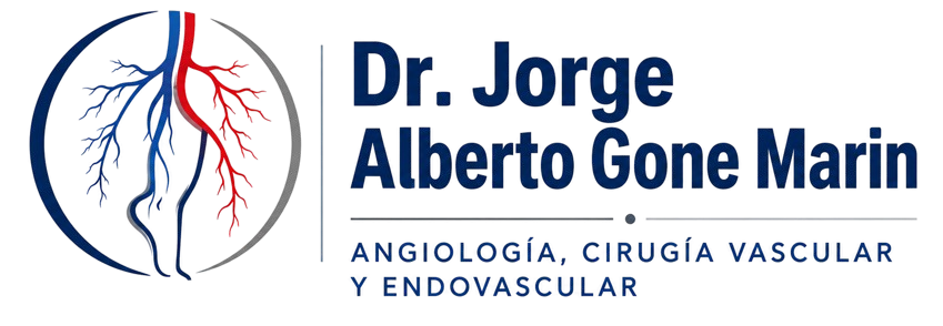 logo-angiologo-y-cirujano-vascular-y-endovascular-en-cuautitlan-izcalli-cdmx-y-poza-rica.png